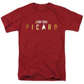 Men's Star Trek Picard Logo Rendered Tee product image 1