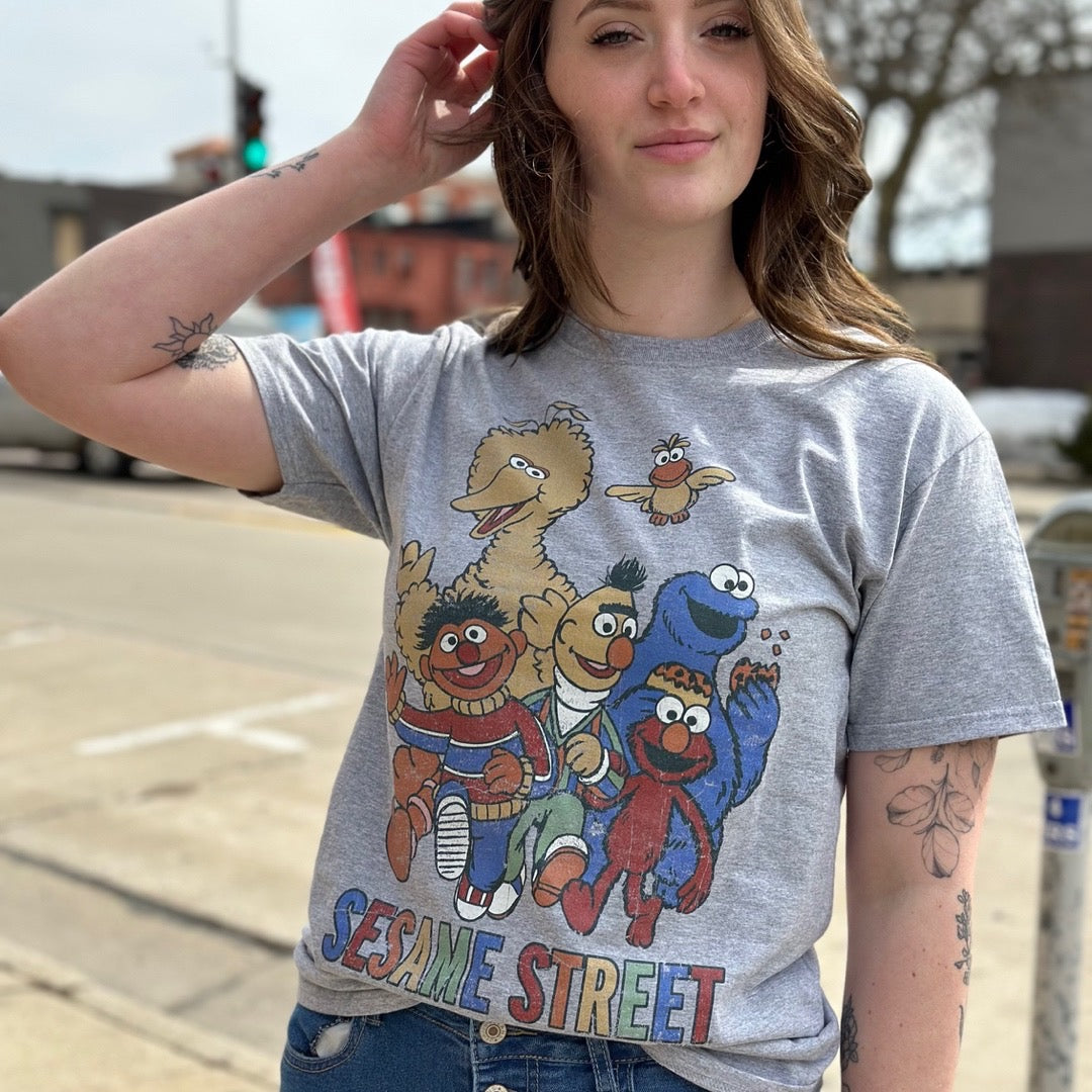 Sesame Street Colorful Group T-Shirt product image 1