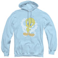 Men's Looney Tunes Retro Tweety Pullover Hoodie product image 1