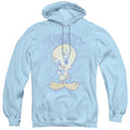 Men's Looney Tunes Tweety Fade Pullover Hoodie product image 1