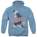 Men's Looney Tunes Sneaky Pullover Hoodie product image 1