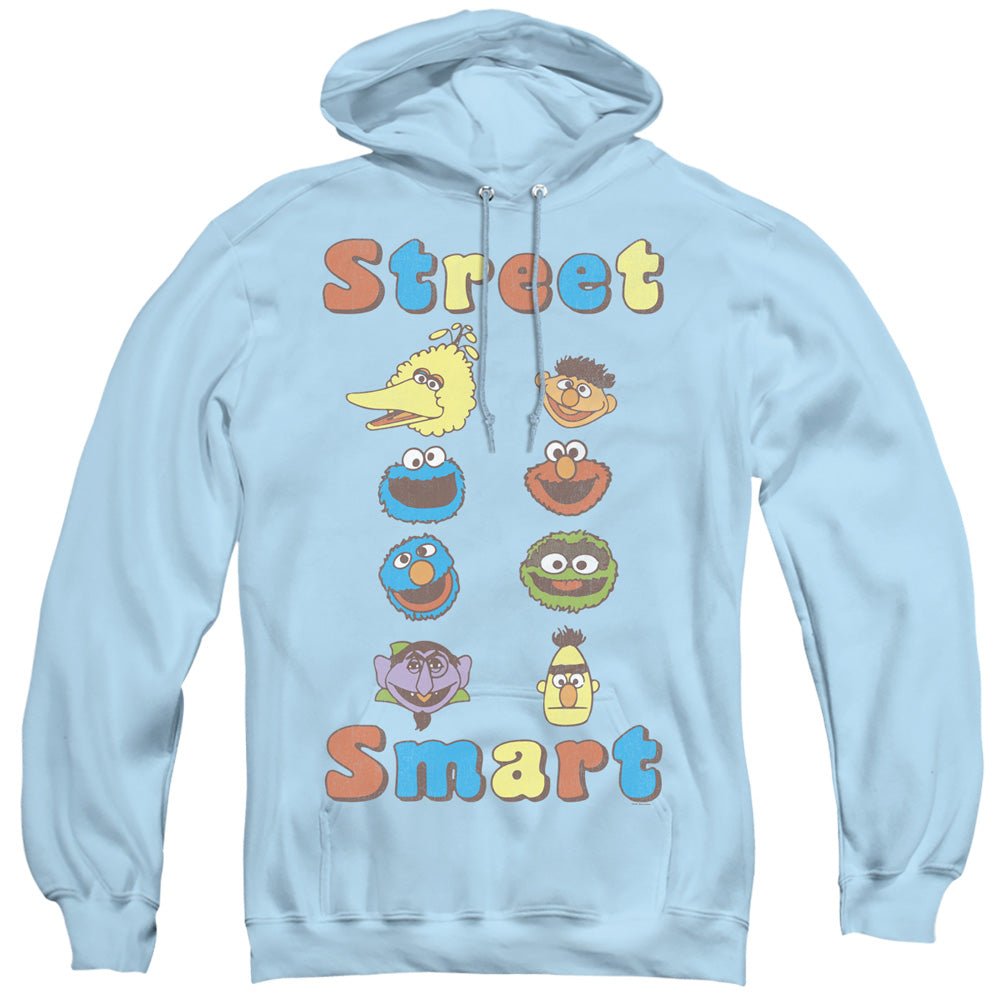 Men's Sesame Street Smart Pullover Hoodie product image 1
