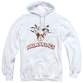 Men's Animaniacs Trio Pullover Hoodie product image 1