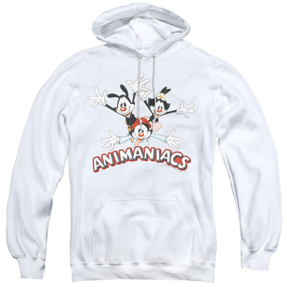 Men's Animaniacs Trio Pullover Hoodie product image 1