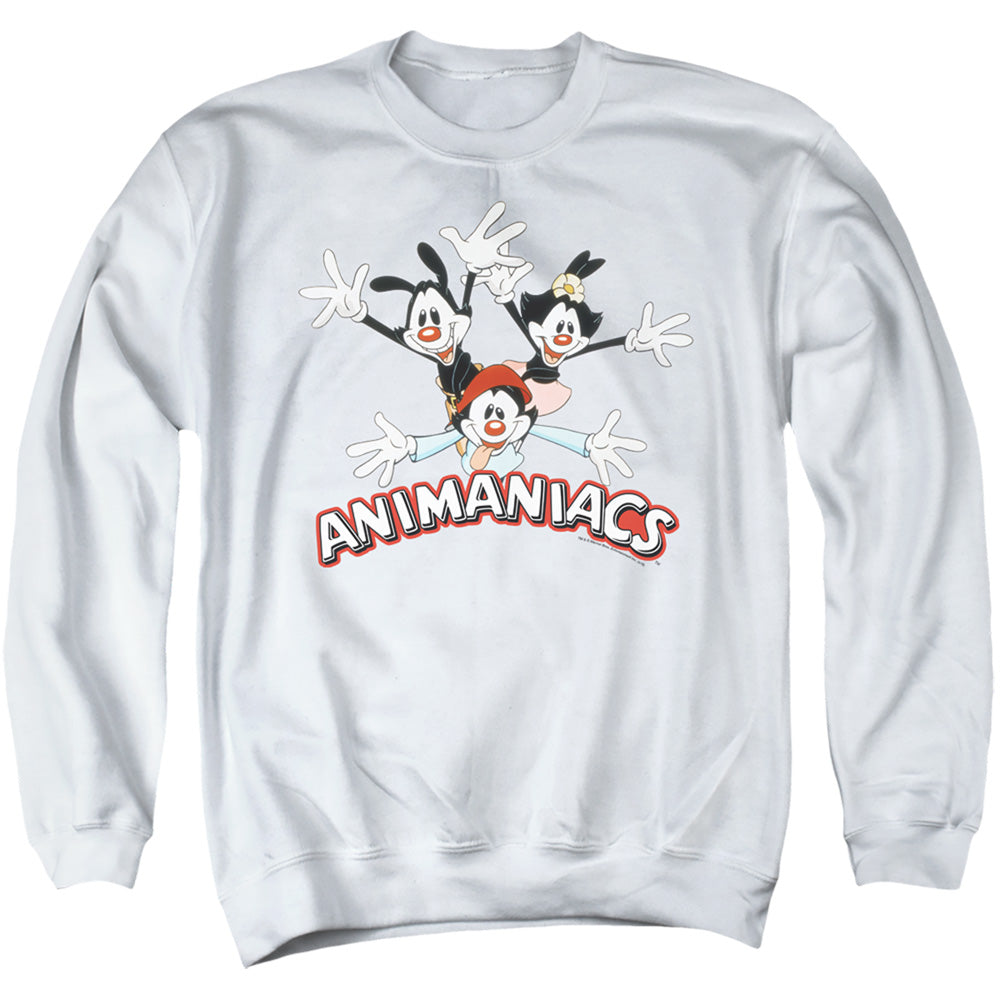 Men's Animaniacs Trio Crewneck Sweatshirt product image 1