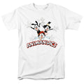 Animaniacs Trio T-Shirt product image 1